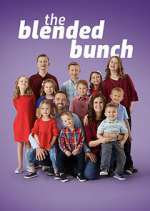 Watch The Blended Bunch Zmovies