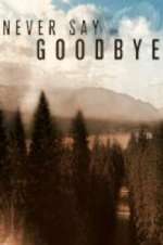 Watch Never Say Goodbye Zmovies