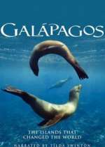 Watch Galapagos Zmovies