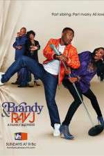 Watch Brandy and Ray J: A Family Business Zmovies