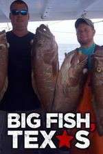 Watch Big Fish Texas Zmovies