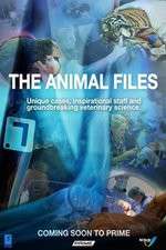Watch The Animal Files Zmovies