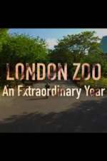 Watch London Zoo: An Extraordinary Year Zmovies