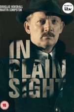 Watch In Plain Sight Zmovies