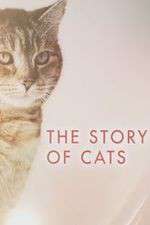 Watch The Story of Cats Zmovies