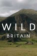 Watch Wild Britain Zmovies