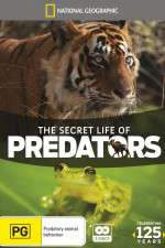 Watch Secret Life of Predators Zmovies