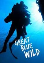 Watch Great Blue Wild Zmovies