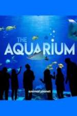 Watch The Aquarium Zmovies