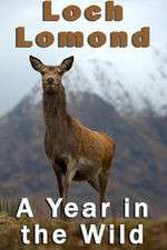 Watch Loch Lomond: A Year in the Wild Zmovies