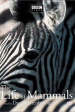 Watch The Life of Mammals Zmovies