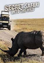 Watch Secret Safari: Into the Wild Zmovies