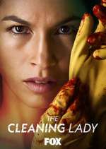 Watch The Cleaning Lady Zmovies