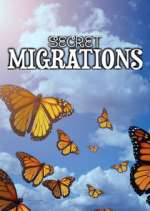 Watch Secret Migrations Zmovies