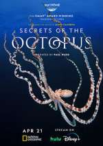 Secrets of the Octopus zmovies