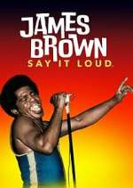 james brown: say it loud tv poster