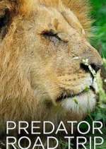 Watch Predator Road Trip Zmovies