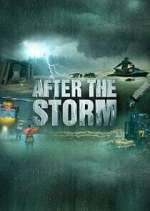 Watch After the Storm Zmovies
