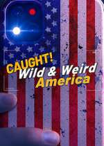 Watch Wild & Weird America Zmovies