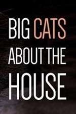 Watch Big Cats About the House Zmovies