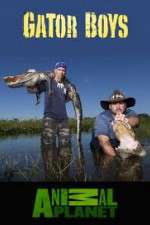 Watch Gator Boys Zmovies