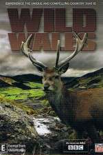 Watch Wild Wales Zmovies