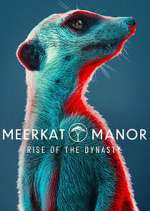 Watch Meerkat Manor: Rise of the Dynasty Zmovies