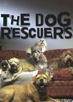 Watch The Dog Rescuers with Alan Davies Zmovies