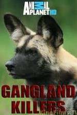 Watch Gangland Killers Zmovies