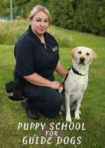 Watch Puppy School for Guide Dogs Zmovies