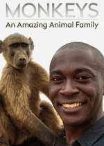 Watch Monkeys: An Amazing Animal Family Zmovies