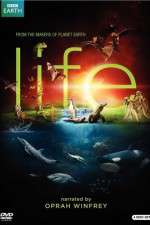 life tv poster
