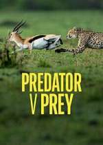 Watch Predator v Prey Zmovies