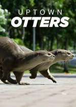 Watch Uptown Otters Zmovies