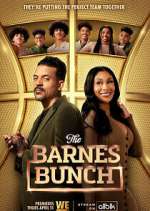 Watch The Barnes Bunch Zmovies