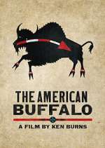 Watch The American Buffalo Zmovies